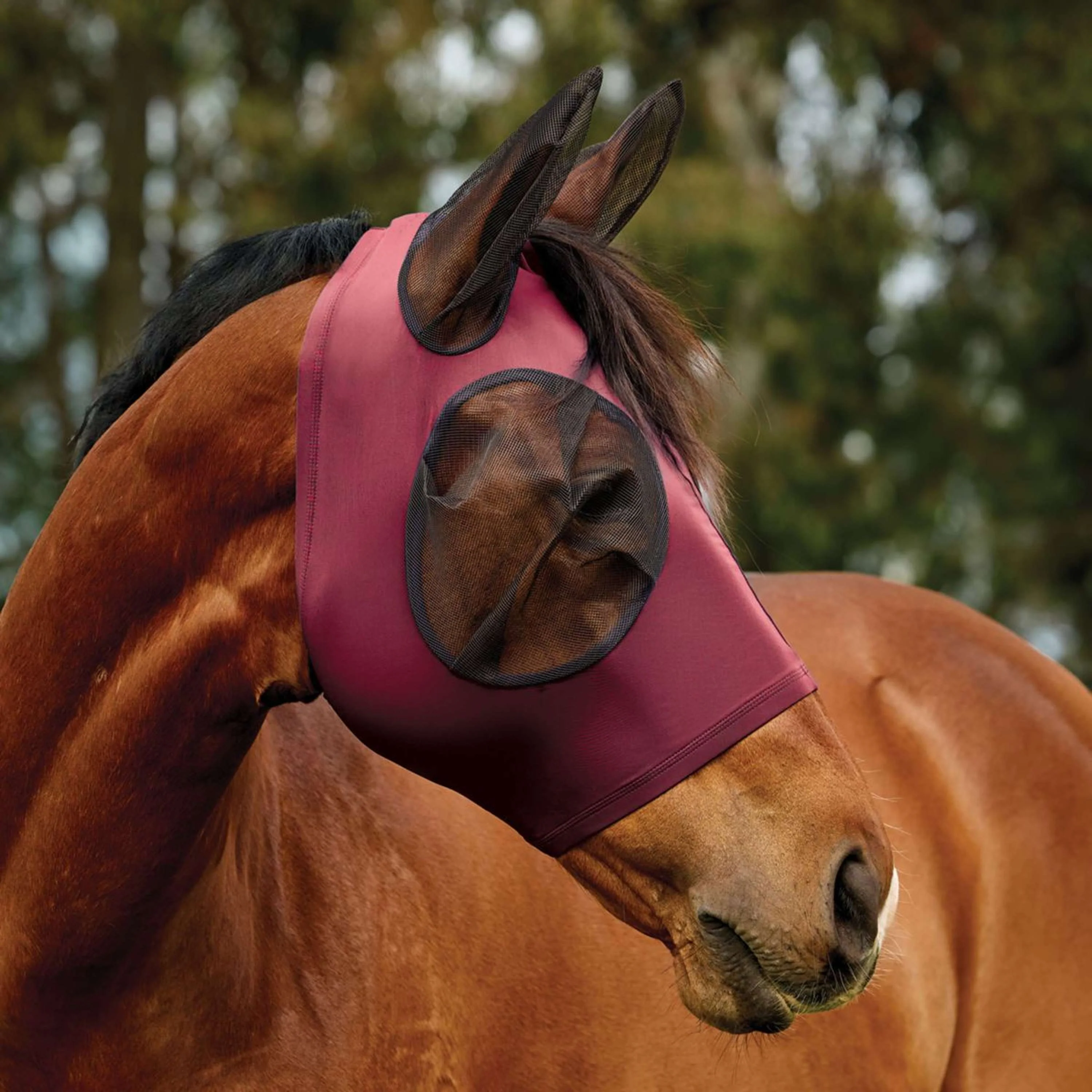 WeatherBeeta Fliegenmaske ComFiTec Deluxe Stretch mit Ohren Burgundy/schwarz - Image 3