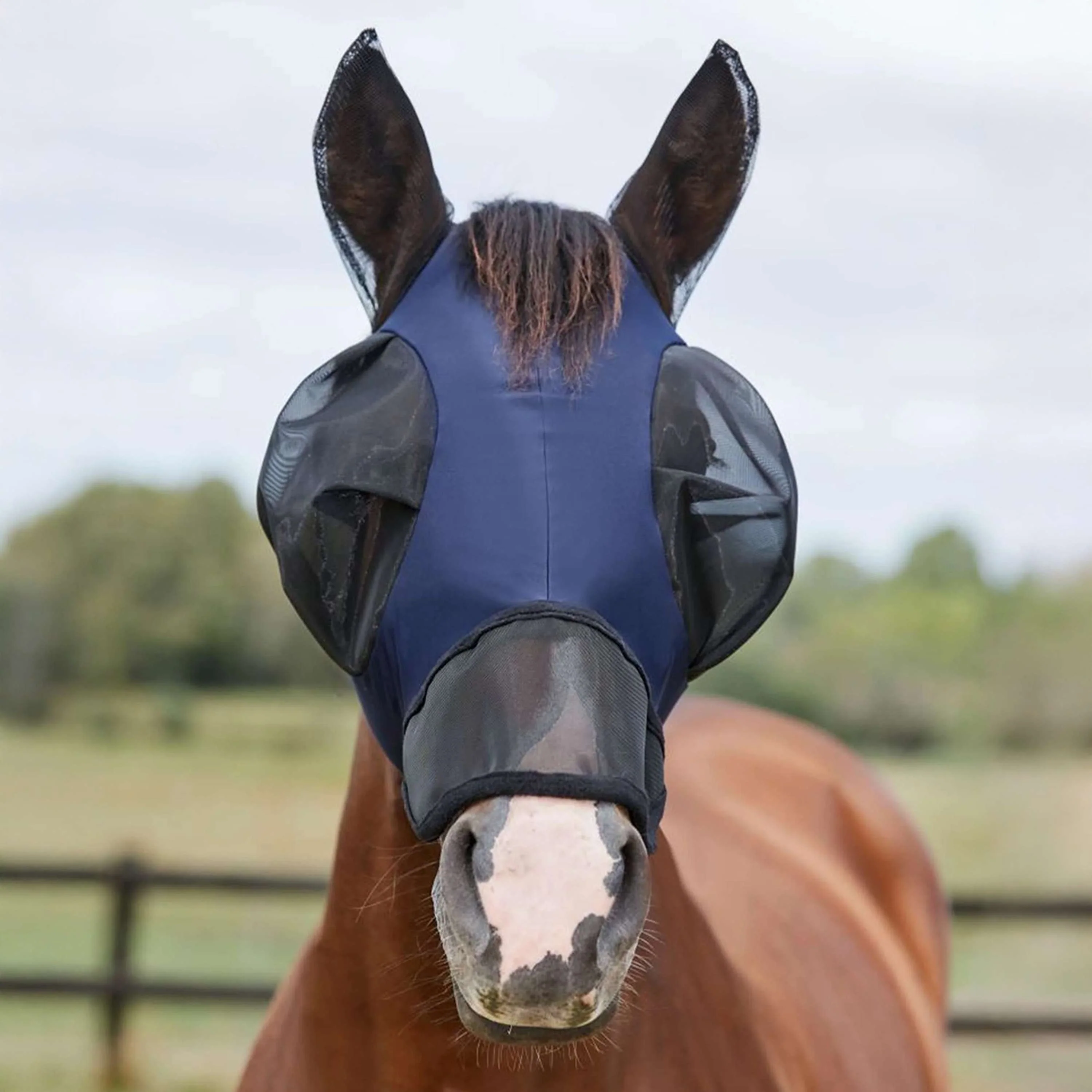 WeatherBeeta Fliegenmaske ComFiTec Luxe Bug Eye Saver mit Ohren und Nase Navy/Schwarz - Image 10
