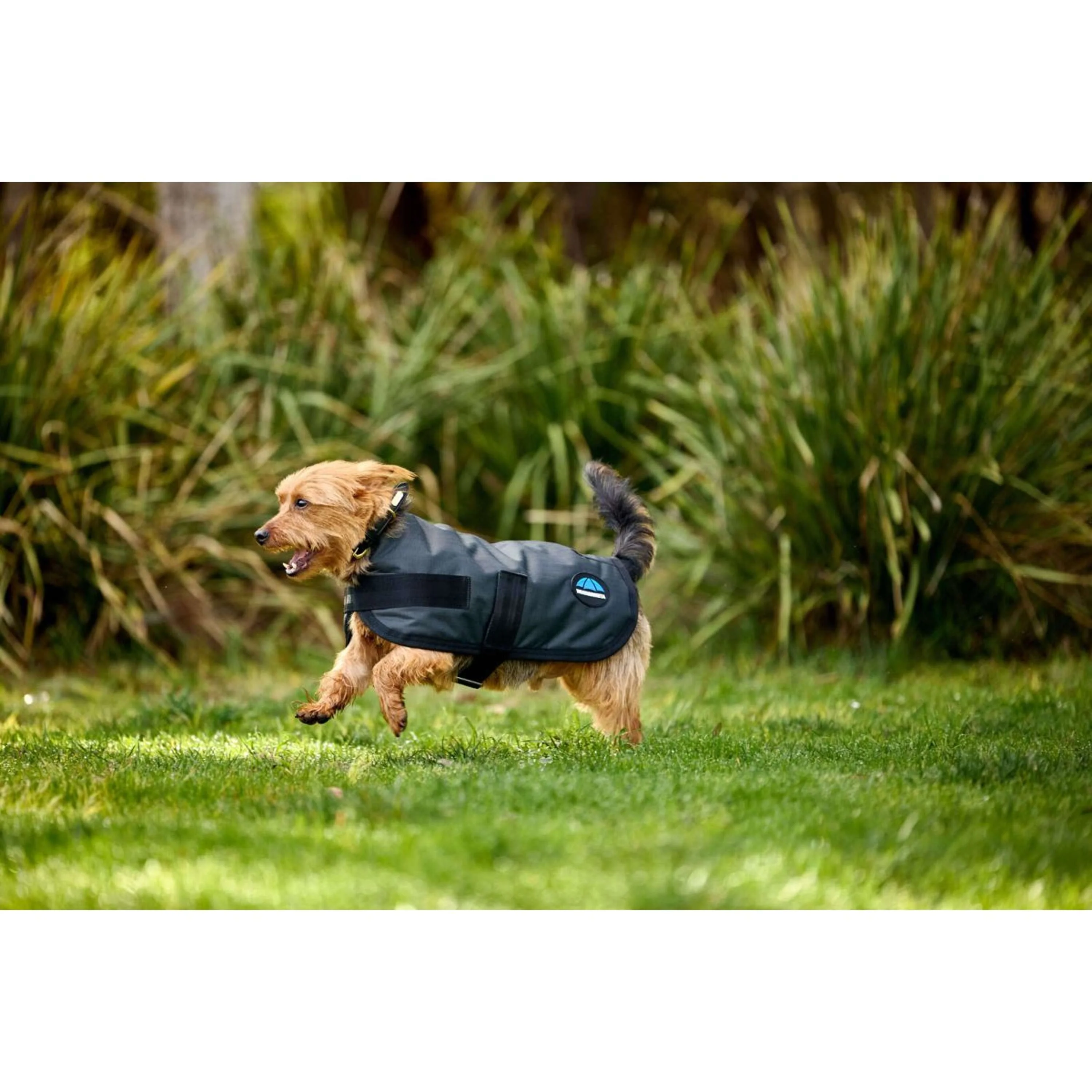 WeatherBeeta Hundedecke ComFiTec Classic Waterproof Kohle - Image 2