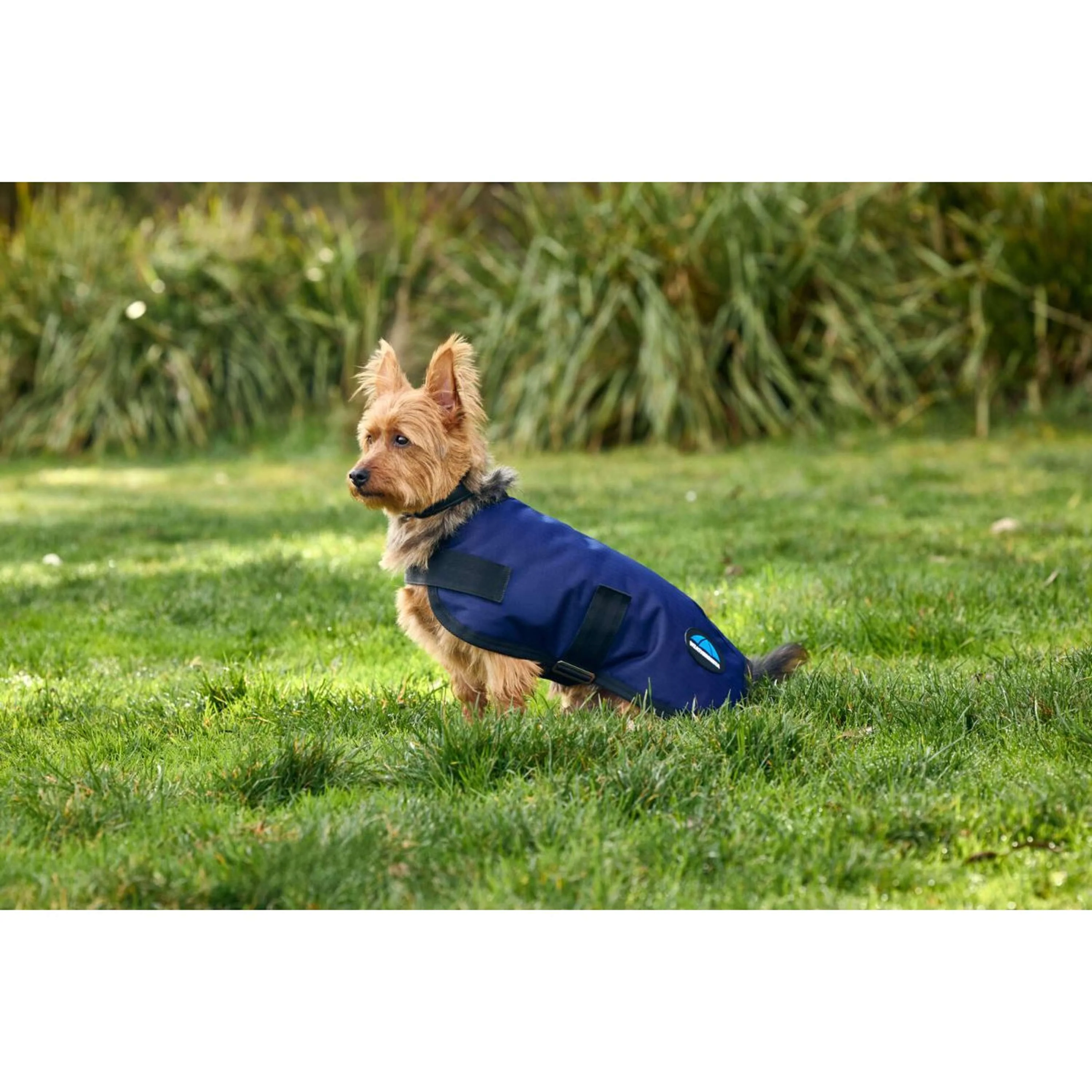 WeatherBeeta Hundedecke ComFiTec Classic Waterproof Navy - Image 4