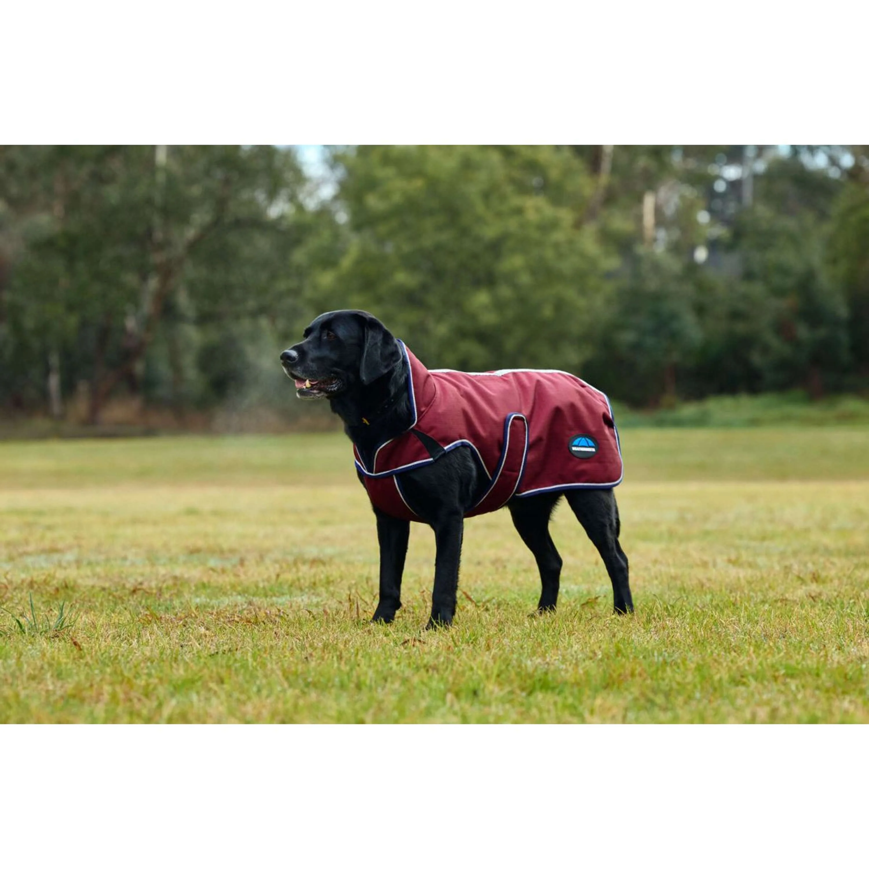 WeatherBeeta Hundedecke ComFiTec Premier Deluxe Waterproof Burgund/Navy - Image 4