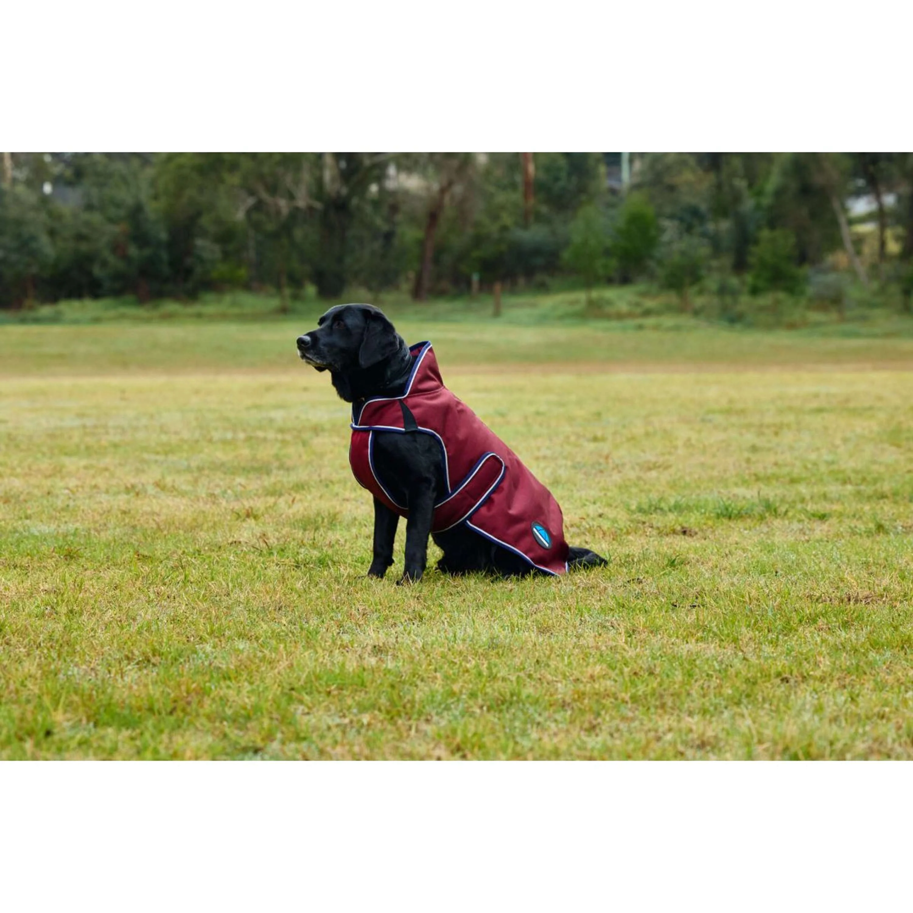 WeatherBeeta Hundedecke ComFiTec Premier Deluxe Waterproof Burgund/Navy - Image 5
