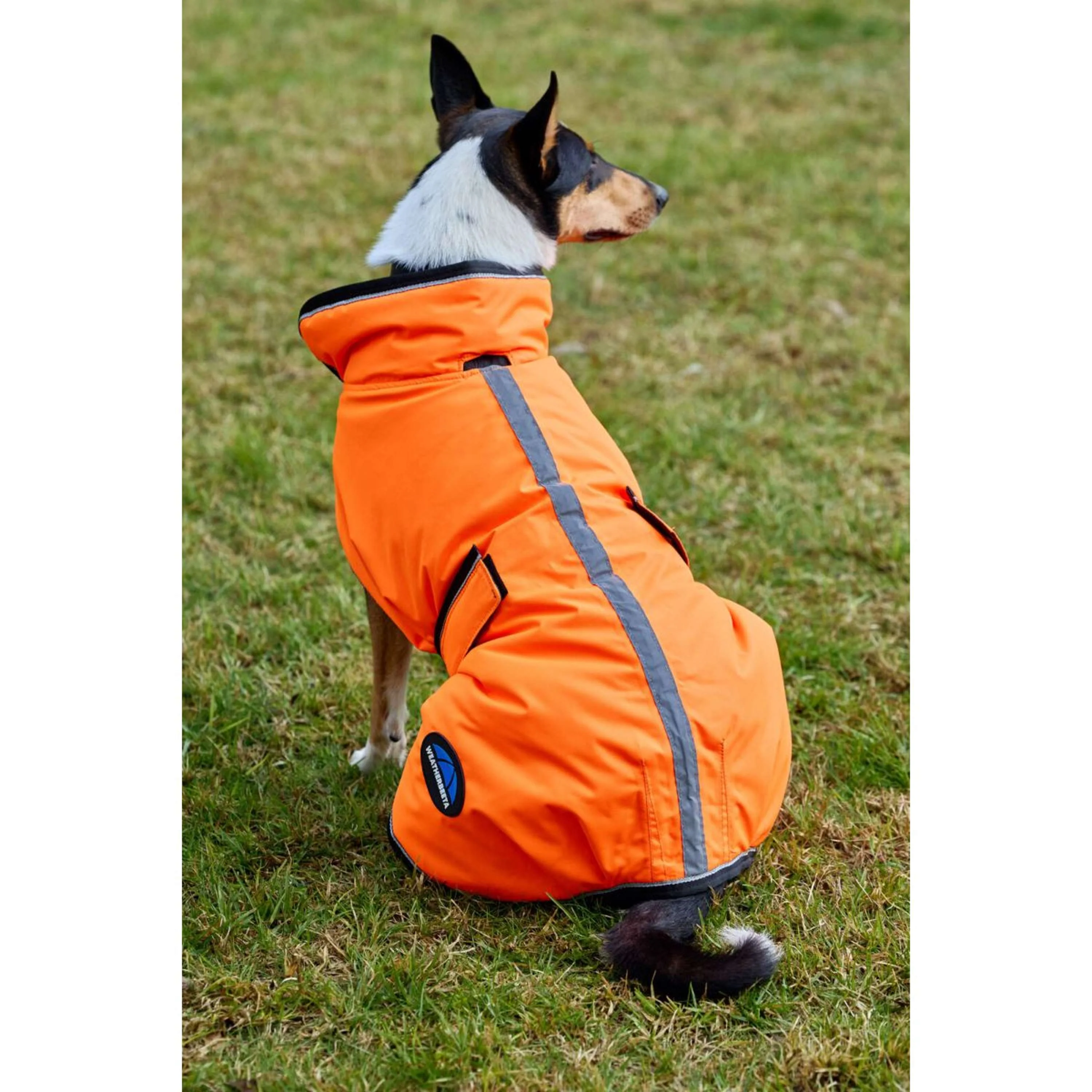 WeatherBeeta Hundedecke ComFiTec Reflective 300D Deluxe Showerproof Orange - Image 2