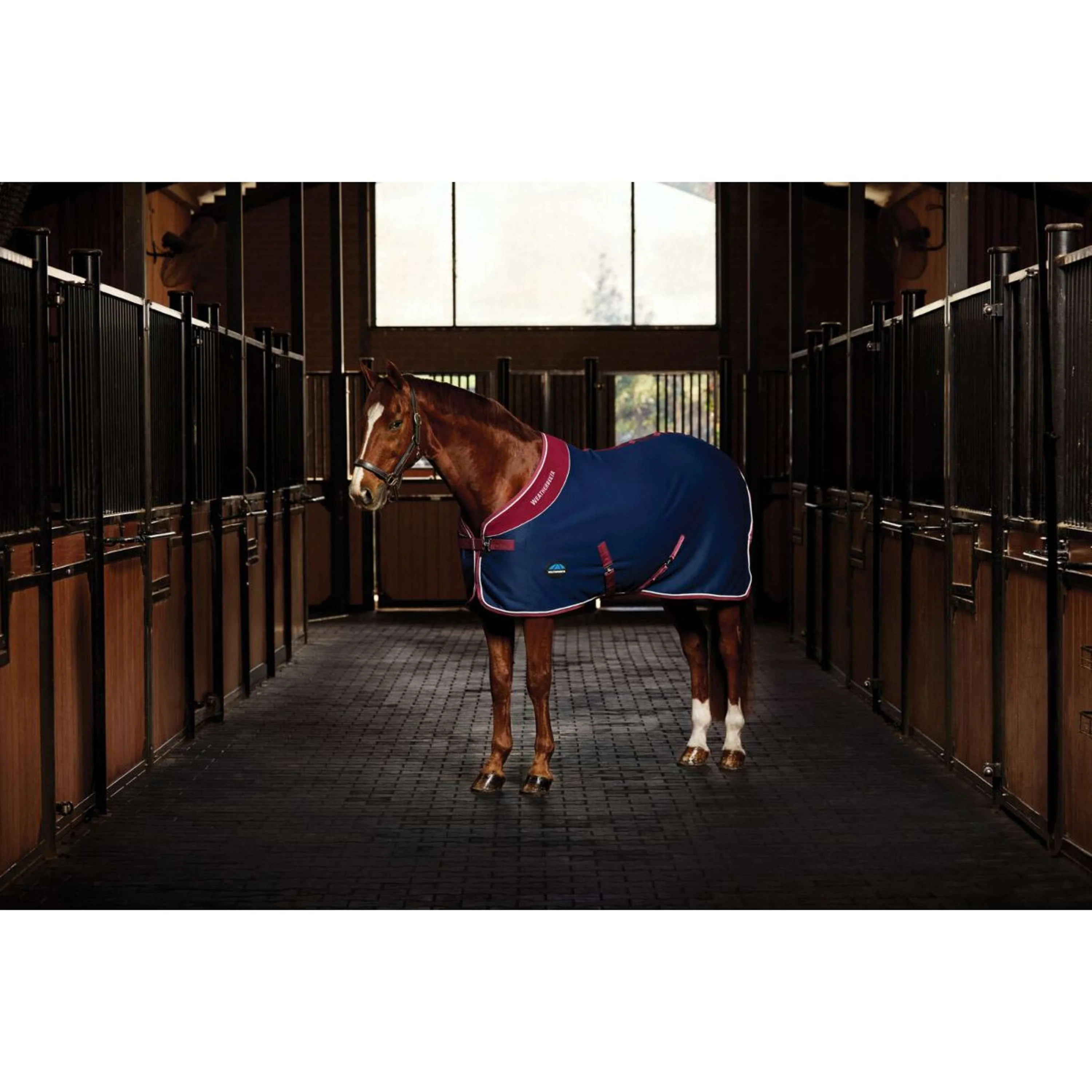 WeatherBeeta Showdecke Opulence Standard Neck Navy/Burgundy