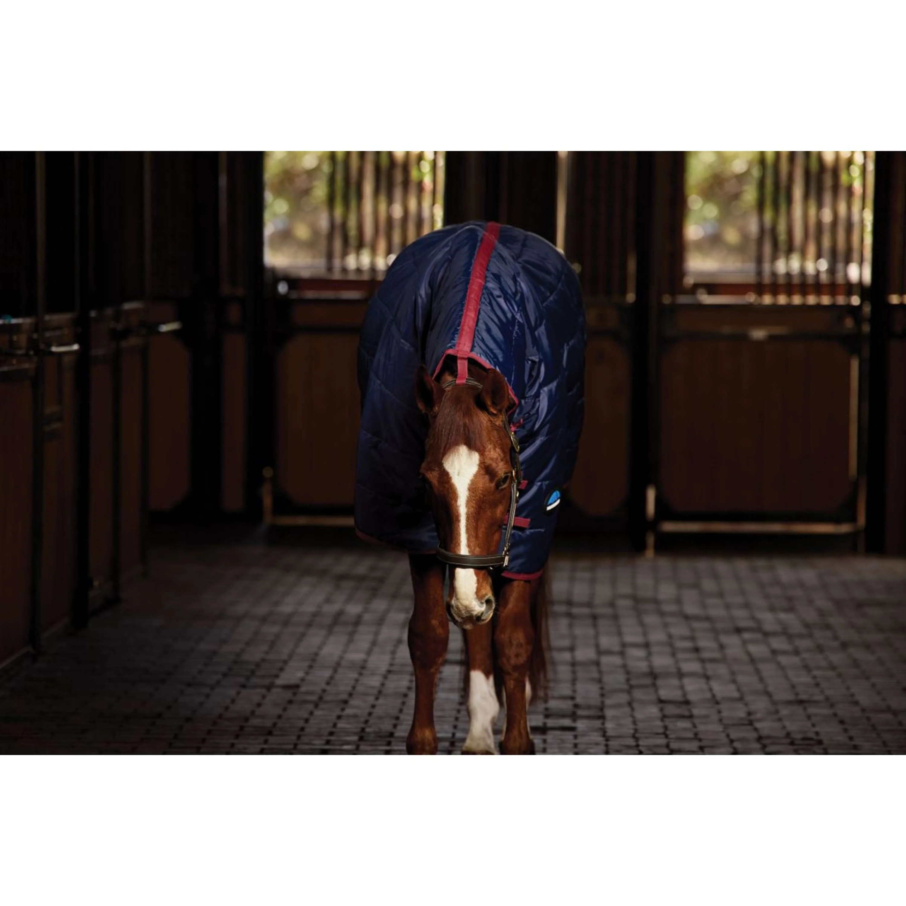 WeatherBeeta Stalldecke ComFiTec 210D Channel Quilt Combo Neck 360g Navy/Burgundy - Image 3