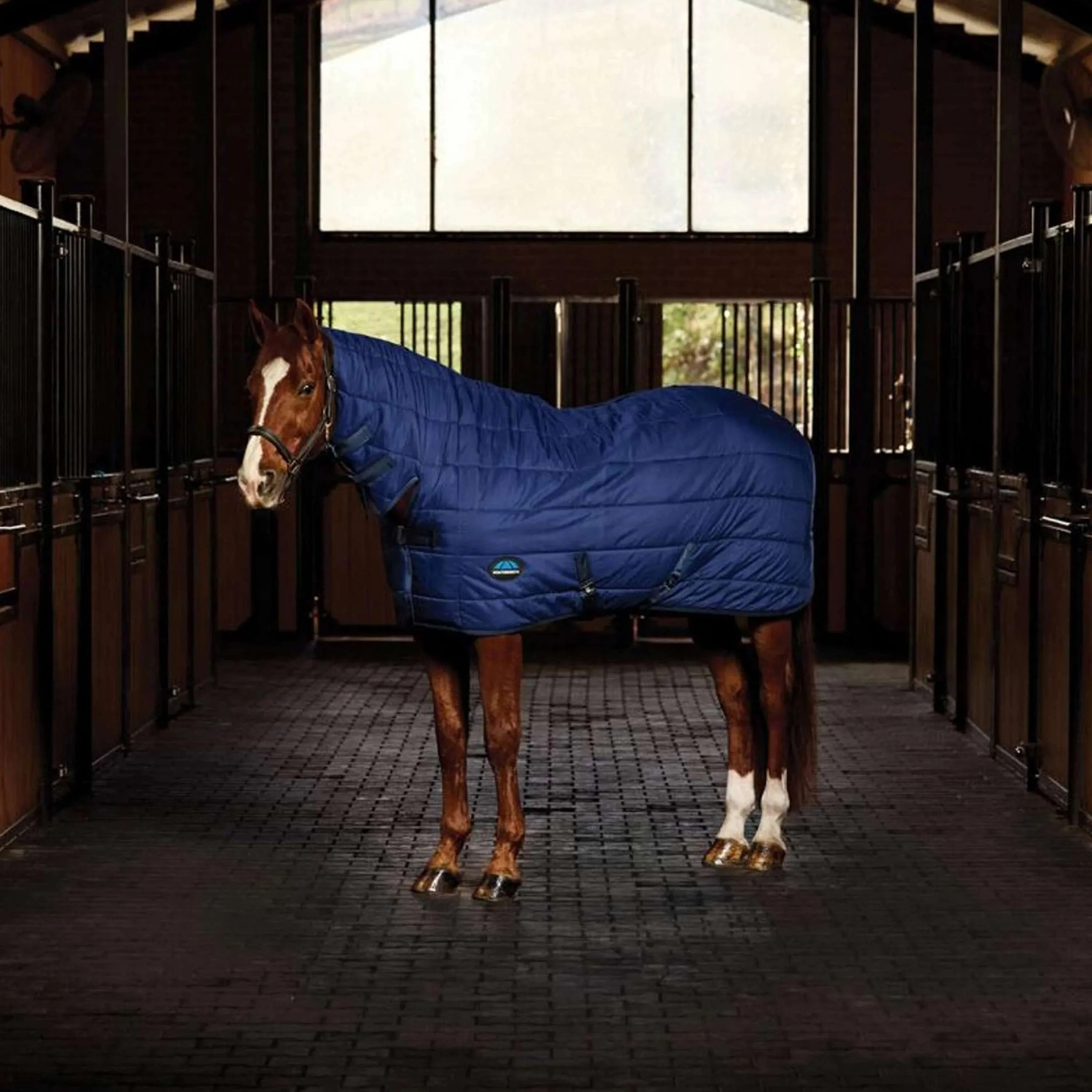 WeatherBeeta Unterdecken ComFiTec Combo Neck 220g Navy
